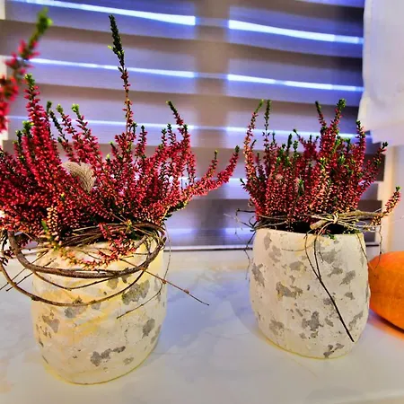 Sjesta Centrum W Centrum Miasta Z Prywatnym Parkingiem * 库多瓦-兹德鲁伊